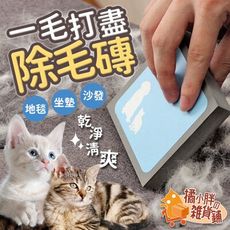 除毛磚 除毛刷 寵物黏毛 寵物除毛磚 除貓毛 黏毛刷 寵物黏毛器 除毛神器