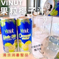 【今晚饗吃】夏天超解渴系列  Vinut-果粒椰子汁325ml(固9.6g)