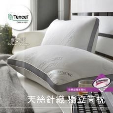 台灣製造天絲獨立筒釋壓枕(1入) 枕頭 【夢之語寢具生活館】