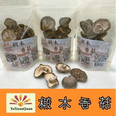 【亞源泉】埔里高山椴木香菇-大朵 80g