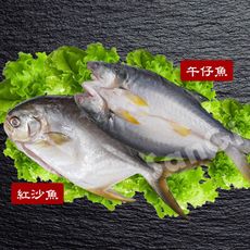 免運【賣魚的家】新鮮整尾午仔魚/紅沙魚任選組
