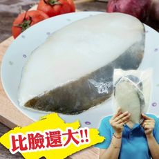 免運【賣魚的家】帝王級超厚切比目魚(600g/片)