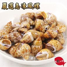 【賣魚的家】印度嚴選風螺 (500G/包)