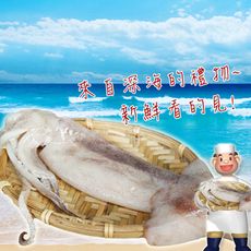 【賣魚的家】海味十足深海大魷魚（1隻/包)