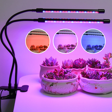 【STAR CANDY】LED植物燈 (一管) 植物生長燈 生長燈 多肉燈 紅藍燈 補光燈 花卉燈
