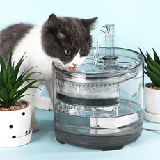 【STAR CANDY】 智能寵物飲水機 自動飲水器 寵物 過濾棉 活水機 自動飲水機 寵物活水機