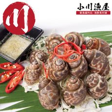 小川漁屋 嚴選活凍鳳螺(500g±10％/包)