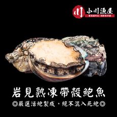 小川漁屋 熟凍帶殼鮑魚（300G+-105/包/8~11顆)