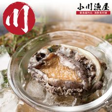 小川漁屋 極品南非活凍帶殼鮑魚（500g+-10%/包）