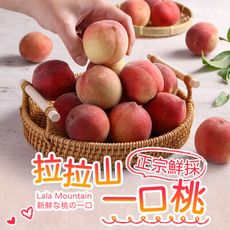 【愛上新鮮】拉拉山鮮採一口桃(1.2kg±4.5%/箱)