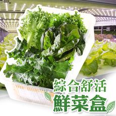 【愛上新鮮】綜合舒活鮮菜盒(150g±5%/盒) 蔬菜/綜合生菜/沙拉
