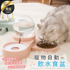 【免插電x免耗材x自動給水】泡泡寵物自動飲水餵食器 1.8L