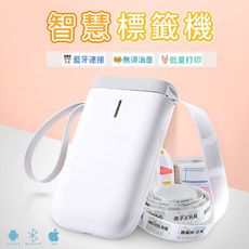【台灣公司貨 贈標籤貼】精臣D11藍芽標籤貼紙機 無線藍牙標籤機 打印機 打標機