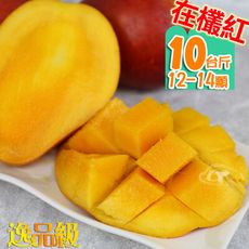 風之果 枋山逸品級43年老欉愛文芒果禮盒10台斤(12-14顆)500-425g