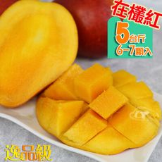 風之果 枋山逸品級43年老欉愛文芒果禮盒5台斤(6-7顆)500-425g