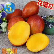 風之果 枋山寶島級香甜43年老欉愛文芒果禮盒5台斤(9顆)
