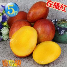 風之果 枋山寶島級香甜40年老欉愛文芒果禮盒5台斤(9顆入)330g-300g