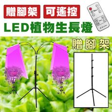 【贈腳架】【ROWA樂華】LED植物生長燈 植物燈 生長燈  USB 夾式 遙控 可調光 蔬菜