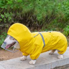 寵物雨衣 四腳全包 中小型犬雨衣 雨衣 防水 狗雨衣 寵物外出用品 寵物雨具