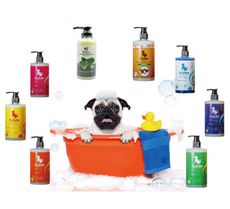 法西多沙龍級系列 400毫升 寵物沐浴乳 寵物洗毛乳/洗毛精 清新東方香 寵物洗澡 寵物用品