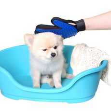 寵物洗澡按摩除毛手套 洗澡刷 按摩刷 按摩手套 除毛 清潔刷 美容梳 寵物洗澡 寵物按摩