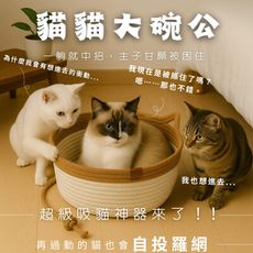 天然蒲草貓貓大碗公