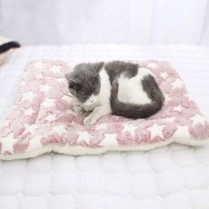 【DaoDi】寵物三層加厚法蘭絨棉墊 寵物墊 睡墊(尺寸L/XL任選)