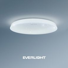 EVERLIGHT億光 30W恆亮  LED壁切吸頂燈 適用3-4坪 2年保固 白光