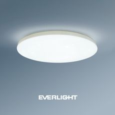 EVERLIGHT億光 30W恆亮  LED壁切吸頂燈 適用3-4坪 2年保固 白光