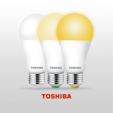 TOSHIBA東芝光耀13W第三代高效能LED燈泡 日本設計(白光/自然光/黃光) 2年保固