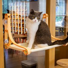 Golden Cat 黃金貓 吸盤式透氣歐風兩用貓窗台 貓窗台 貓吊床