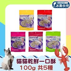 【IcelandPet冰島伙伴】寵物貓零食100%原肉乾鮮一口酥100g