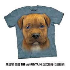 【摩達客】美國進口The Mountain 小比特犬 T恤