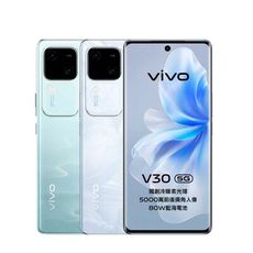 vivo V30 (12G/512G)+支架