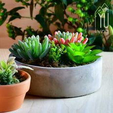 [限時特賣] 仿真多肉植物水泥盆栽 人造盆栽 多肉植物 (圓形,綠色)【YU Living】