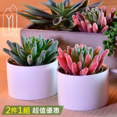 [限時特賣]迷你仿真多肉植物裝飾盆栽二件組 人造盆栽【YU Living】