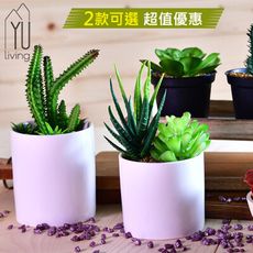 [限時特賣]迷你仿真多肉植物二件組 仙人掌裝飾盆栽 人造盆栽(綠色,2款)【YU Living】