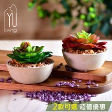 [限時特賣] 仿真迷你多肉植物裝飾盆栽二件組 人造盆栽(2色可選)【YU Living】