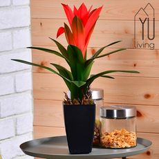 [限時特賣]仿真水塔花綠色植物裝飾 人造盆栽 40CM (紅色)【YU Living】