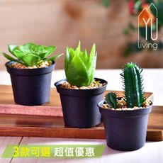 [限時特賣] 迷你仿真多肉盆栽三件組 仙人掌植物 人造盆栽(綠色)【YU Living】