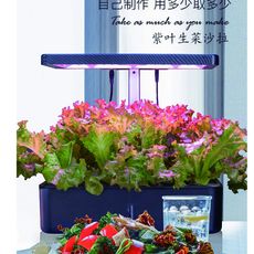 【居家種植必備】家庭智能LED水耕植物無土栽培自動化栽培機(黑色)