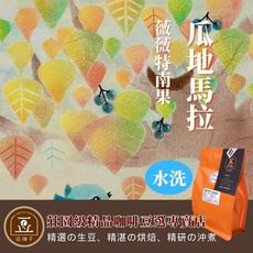 【逗珈手作】瓜地馬拉 薇薇特南果 |水洗|中烘焙|自家烘焙|咖啡豆|半磅|