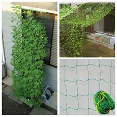 戶外園藝耐磨尼龍網/植物支持網/攀援植物網/專業種植藤蔓植物(1.8x0.9米）