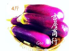 【安全友善】【茄子】 吉屋商行 4斤 Geo All - 鮮甜多汁又好吃