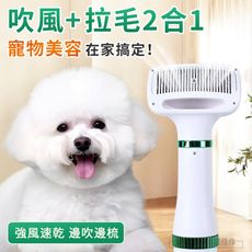 二合一寵物吹風梳