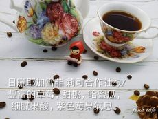 【紫色莓果氣息】日曬耶加雪菲 莉可合作社G1 一磅~接單烘焙~ 讓您喝到最新鮮的咖啡~夏荷咖啡