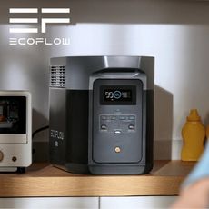 【EcoFlow】Delta 2 Max+220W板+收納包 (悠遊戶外)