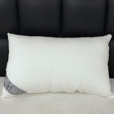 【HUGS】英威達 Dacron 七孔枕 防螨抗菌 可機洗不變形 台灣製