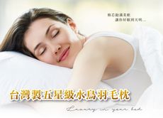 台灣製五星級人工水鳥羽毛枕(聚酯纖維棉)
