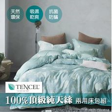 頂級100%純天絲兩用被床包組-雙人加大